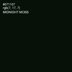 #071107 - Midnight Moss Color Image